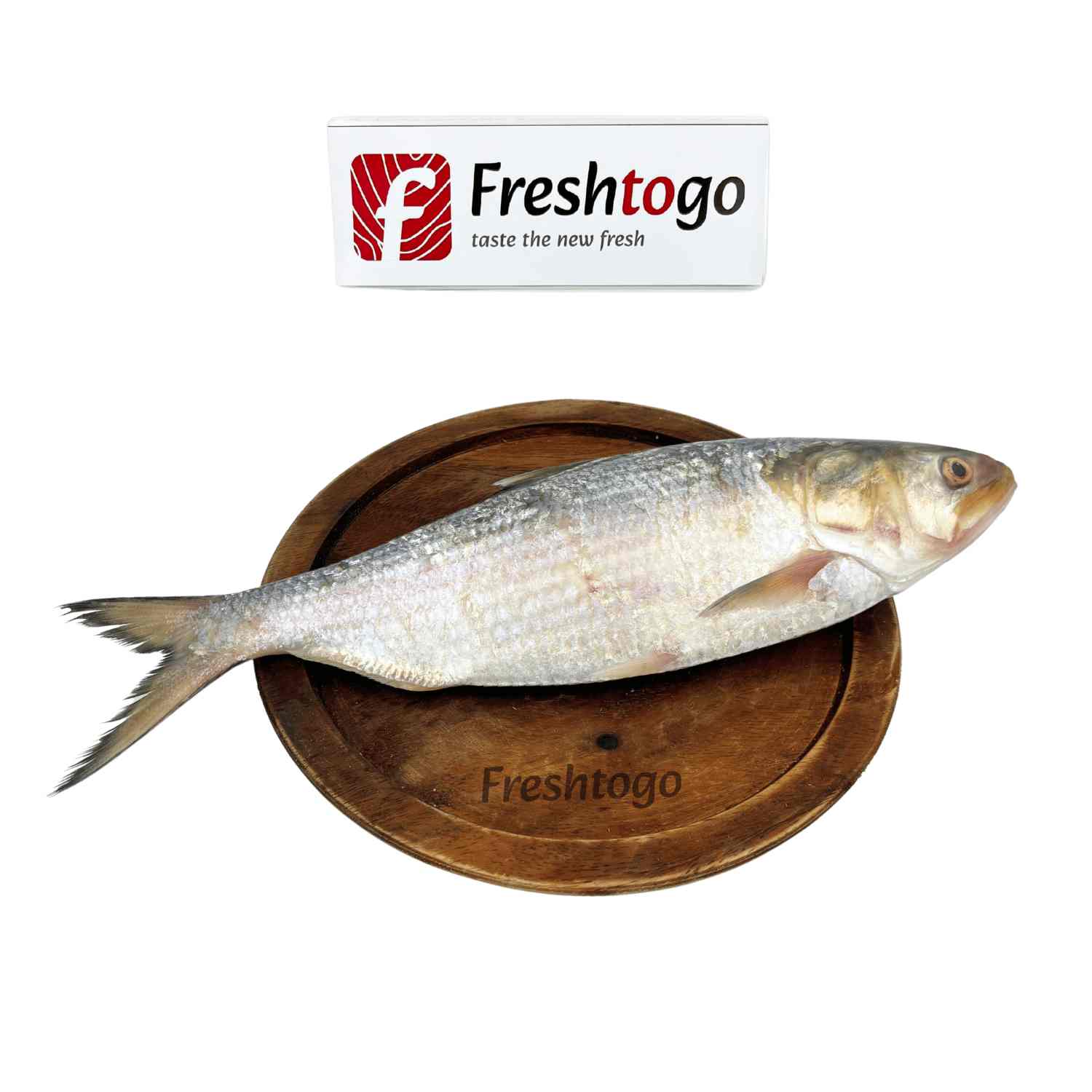 Hilsa Fish (600gm - 700gm) - Whole, Cut, Cleaned